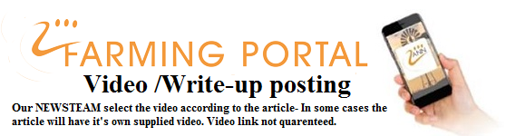 Africa's Plantain Market to Reach Over 30M Tonnes by 2025